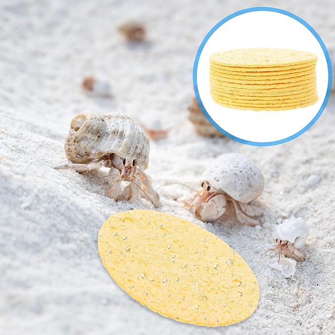 VILLCASE 12pcs Hermit Crab Sponges Pet Crab Sea Sponges Water Dish Provide Nutrients for Pet Tank Humidity Supplies