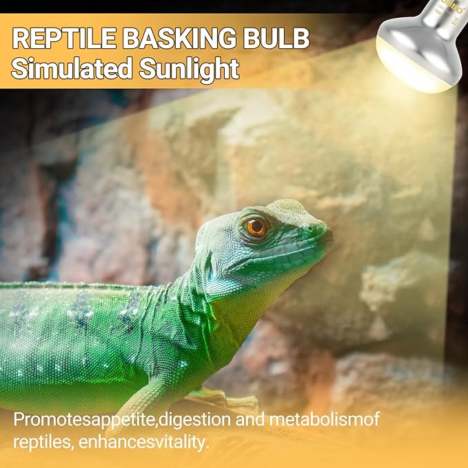Oiibo Reptile Heat Lamp Blub, 2Pack 75W Day & Night Reptile Heat Lamp,UVA Daylight Heat Basking Bulbs Infrared Heats Light Bulb for Reptiles Bearded Dragon Lizard Turtle