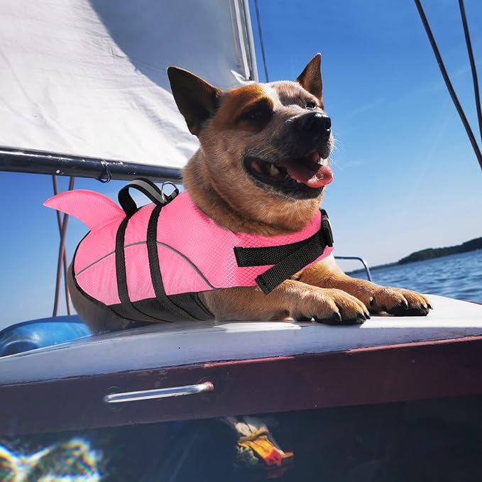 Queenmore Cat Life Jacket, XXS Extra Small Dog Life Vest, Puppy Life Vest for Swimming, Small Dog Vests for Boating, Lightweight High-Vis Water Floating Vest with Rescue Handle/Leash Hook