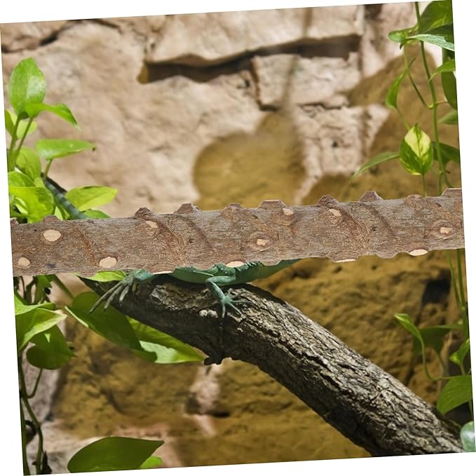 LIOOBO 2pcs Reptile Climbing Stick Suction Cup Branch Toys for Lizards Snakes Natural Habitat Accessory for Bearded Dragon Terrarium Decor
