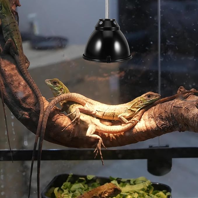 Yardwe 2 Sets Reptile Heat Lamp Covers with 5.8-inch Heat Lamp Shades, Heat-Resistant Reflector Domes for Reptile Habitat Lighting Suitable for Bearded Dragons and Lizards