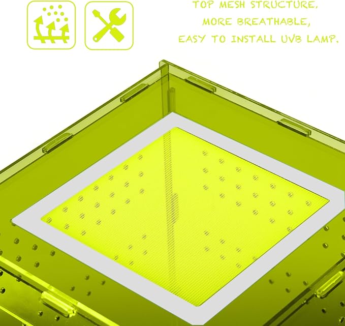 8x8x12 Reptile Enclosure Acrylic Terrarium – Cyberpunk Light Green Reptile Tank Featuring New Caledonia Rainforest Style for Geckos & Invertebrates
