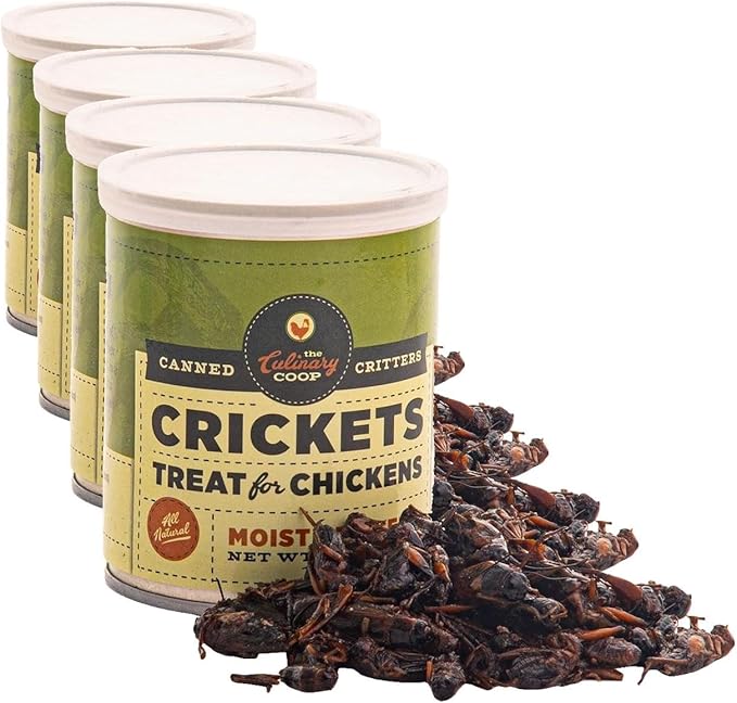 Fluker's Culinary Coop Canned Crickets Chicken Treat, All Natural and Packed with Protein, 2.75 oz (Pack of 4)