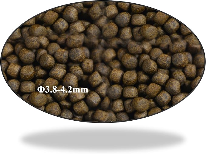 Aqua Master Koi Color Enhancer Food Small Pellet, 2.2-Pound