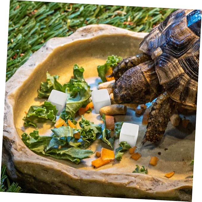 DECHOUS 30pcs Natural Mineral Block: Suitable for Tortoise Frog Lizard Chameleon Provides Essential Microelements Promotes Healthy Growth for Reptile Pets Turtle Accessories