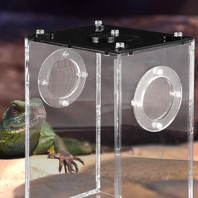 Mipcase Box Box Reptile Feeding Lizard Terrarium Reptile Tank Enclosure Jumping Spider Habitat Container Carrier Breeding Tanks Transparent Feeding Accessories Snake Cage