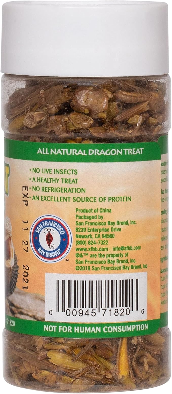 Healthy Herp Dragon Treat Grasshoppers - All Natural, Nutritious Turtle Food, Bearded Dragon Tank Accessories - for Bearded Dragons, Box Turtles, Aquatic Turtles - 0.56 oz (16g)