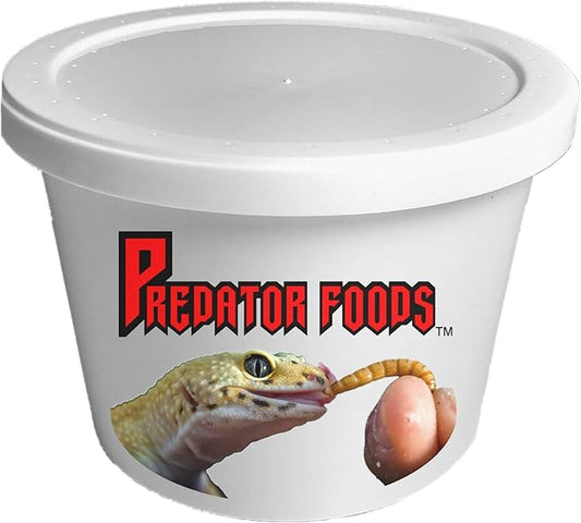 Predator Foods Bulk Live Mealworms - 250 Count (Small ~.25")