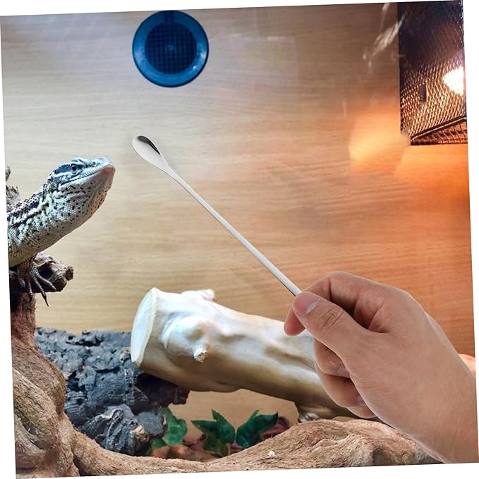 GALPADA 5pcs Pet Feeding Scoops for Lizards Reptile Food Ladle for Small Animals