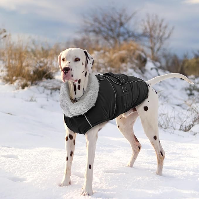 Lelepet Warm Dog Coats for Large Dogs Waterproof Dog Jacket Reflective Pet Fleece Vest Windproof Cold Weather Coats with Adjustable Buckle & Leash Hole, Black, XL