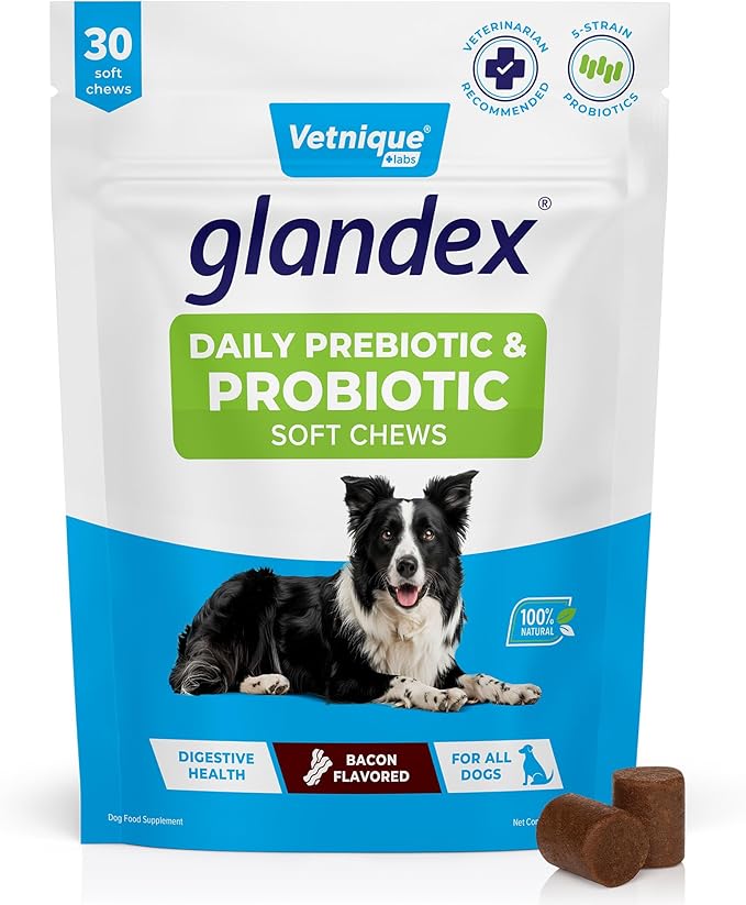 Vetnique Glandex Daily Probiotics for Dogs with Prebiotics to Support Gut Health, Diarrhea with Fiber and Digestive Enzymes, Probiotic Chews or Powders (30ct Chews, Probiotic Bacon Chews)