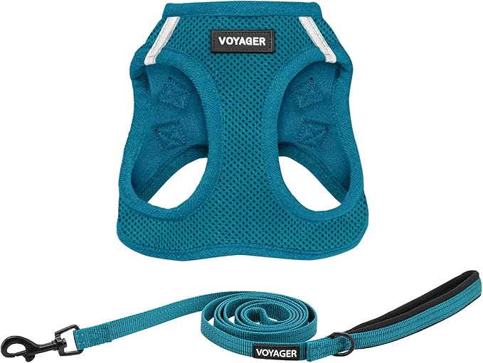 Best Pet Supplies Voyager Step-in Air All Weather Mesh Harness and Reflective Dog 5ft Leash Combo with Neoprene Handle, for Small, Medium and Large Breed Puppies - Set (Turquoise), Small