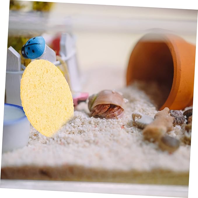 12Pcs Hermit Crab Sponges for Water and Cleaning Humidity Enhancing Sponges for Hermit Crab Habitats Ideal for Drinking and Maintenance of Crab Environments