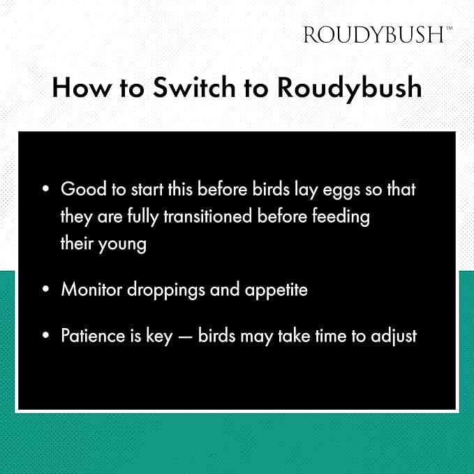 Roudybush Daily Maintenance Bird Food, Small, 10-Pound