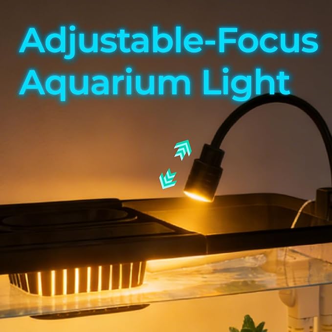 5 Gallon Fish Tank Aquarium Starter Kit with USB LED Light & Quiet Filter, Large Desktop Betta Tank with Decorations, Starter Aquarium for Home Office(Large Black)