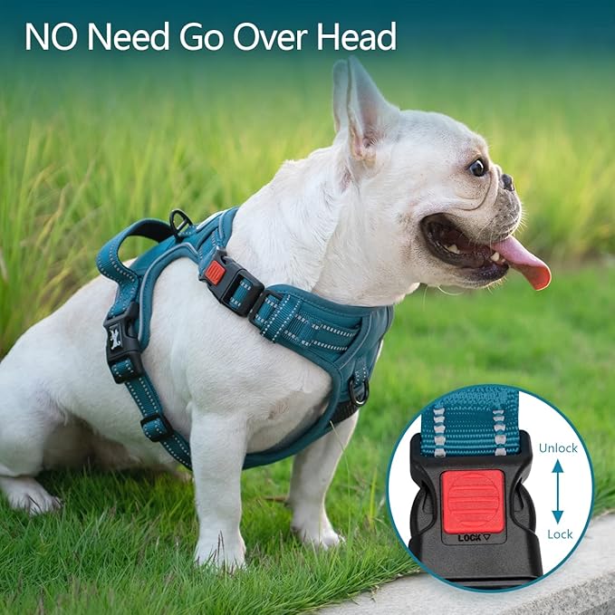 PoyPet No Pull Dog Harness, No Choke Reflective Dog Vest, Adjustable Pet Harnesses with Easy Control Padded Handle for Small Medium Large Dogs(Tumalo Teal,XS)