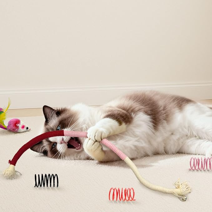 Cat Toys for Indoor Cats, 36 Pack Interactive Cat Toy Set - Image 5