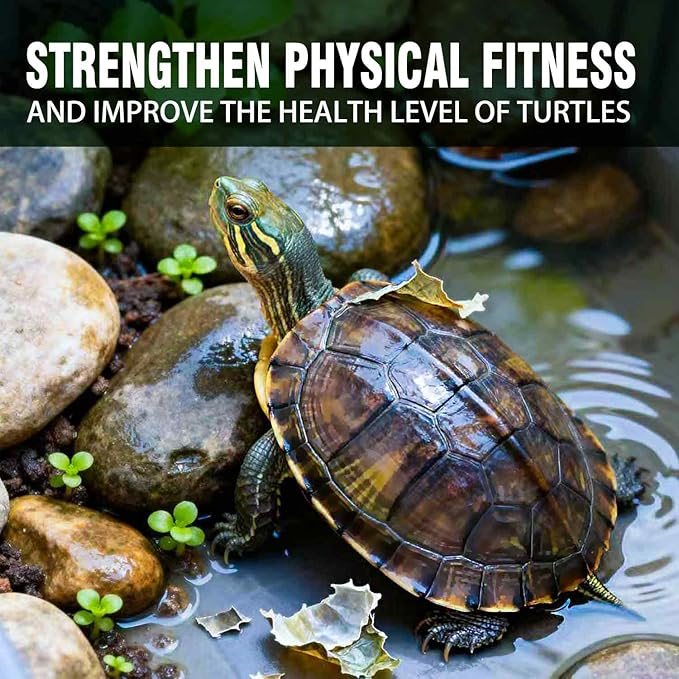 Freeze-Dried River Shrimp ?€? Premium Turtle Food, Reptile & Bird Treat ?€? High-Protein Shrimp for Turtles, Aquatic Pets, Tropical Fish, 1.5 oz