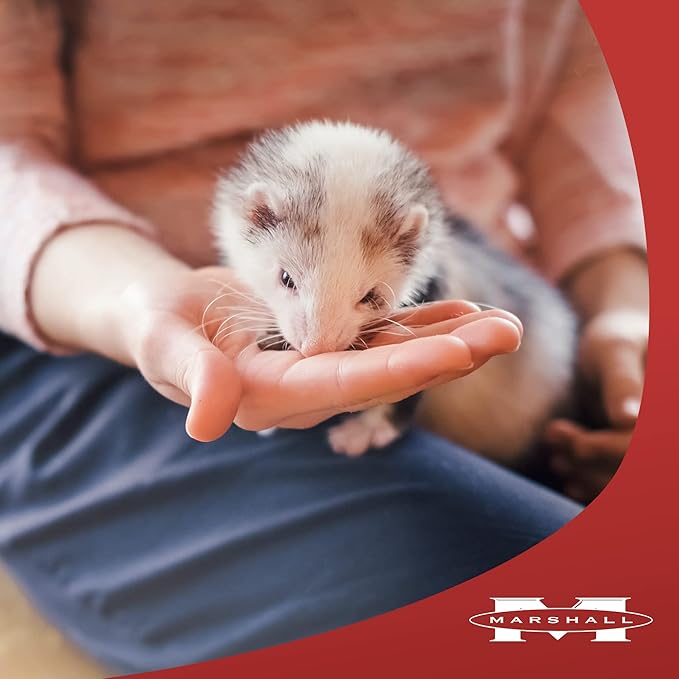 Marshall Premium Ferret Diet Senior Formula – 4 lbs – Supports Digestion, Muscle Health & Vitality – Balanced Nutrition for Aging Ferrets with Essential Nutrients