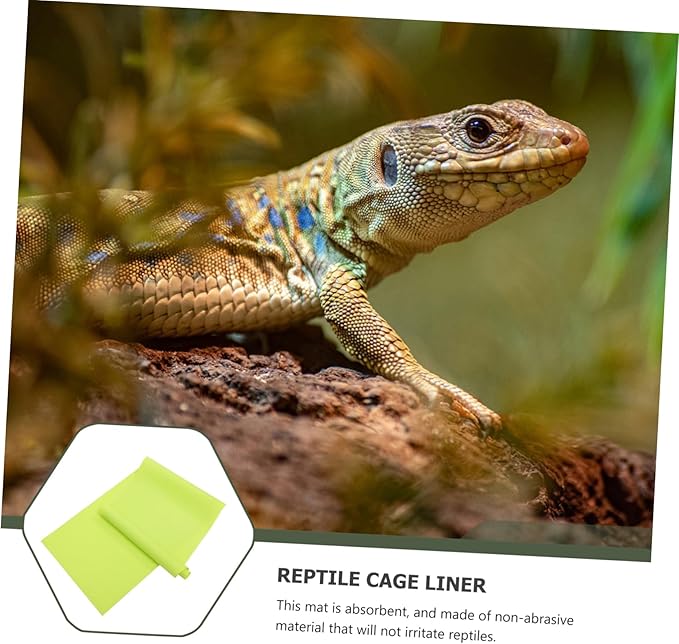 BESPORTBLE 2pcs Reptile Carpet Pad Oil Substrate for Terrarium Reptile Bedding for and Tortoise Habitat