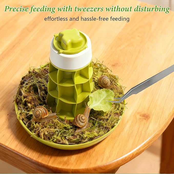 Snail Terrarium Kit Insect Enclosure Bug Terrarium Observation Container Praying Mantis Habitat Breeding Box Micro Habitat Starter Kit for Beetles Spider Small Reptile