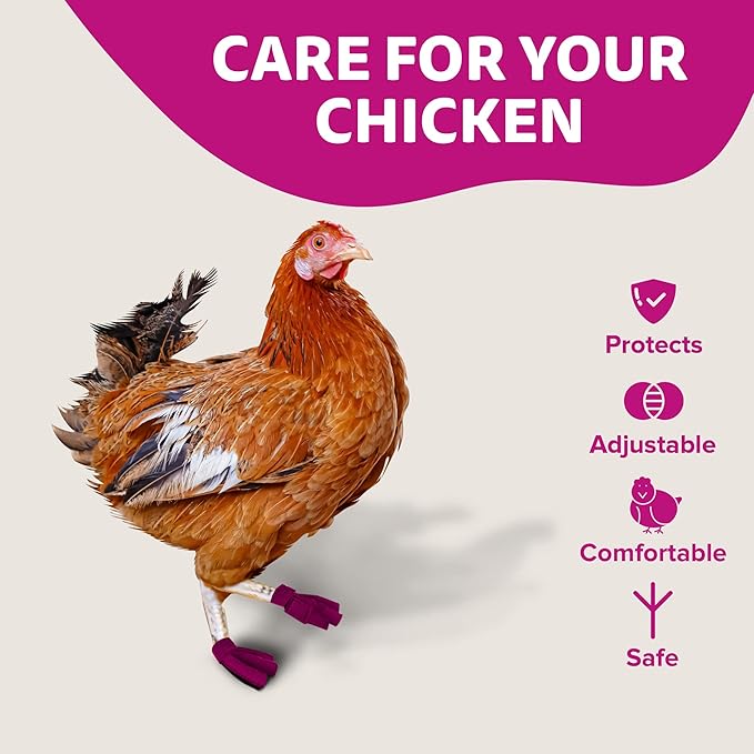 Chicken Shoes for Injured Feet – Protective Neoprene Footwear for Chicken, Open-Toe Design for Bumblefoot Relief, Made in USA - Large, 4" Max. Inside Width, Pink