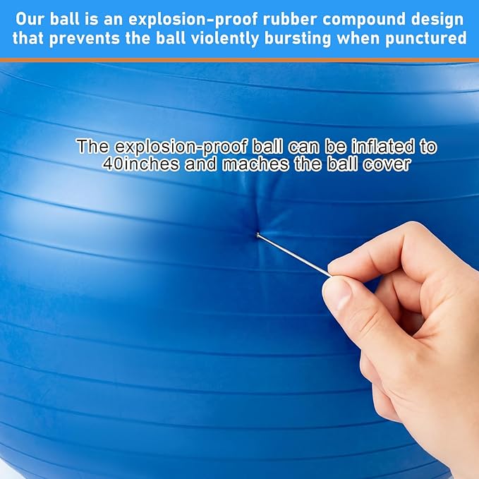 40 Inch Giant Herding Ball with Ball Cover Anti Burst Please Watch VCR for How to Inflation Horse Toys for Horses Entertainment Play, Pump Included(Cute, Blue, Orange)