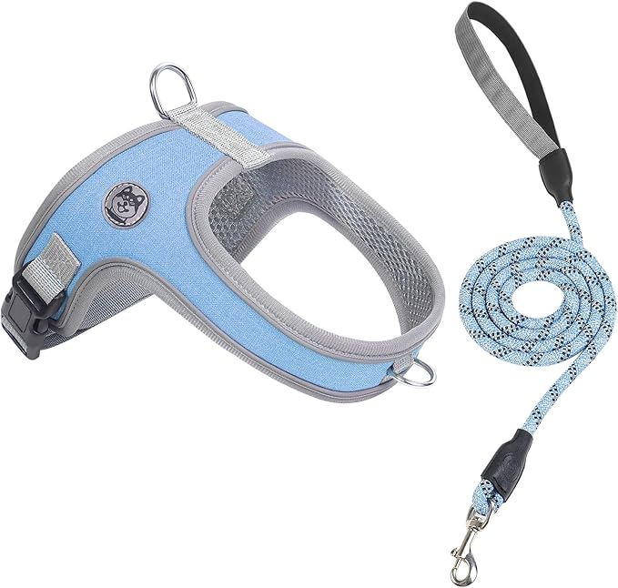 Dog Harness and Leash Set, No Pull Saddle Style Pet Harness, Breathable Mesh Adjustable Reflective Dog Vest for Dogs and Cat Medium Small Harness 2 D-Rings (Blue, L)