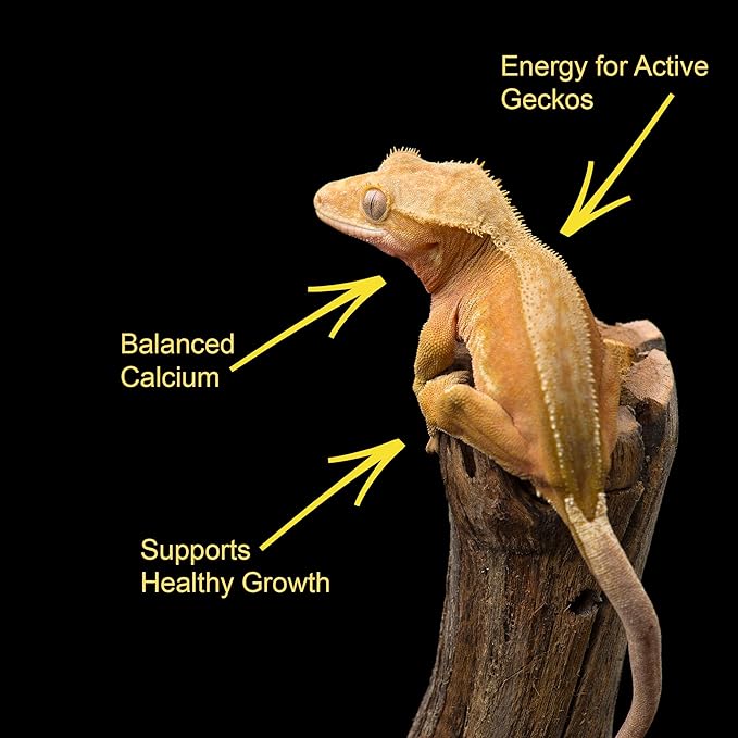 CTWPets Crested Gecko Banana Complete Diet – Premium Fruit & Protein Powder Food, Just Add Water, Complete Nutrition for Crested Geckos & Fruit-Eating Reptiles – Includes Feeding Spoon (6oz)
