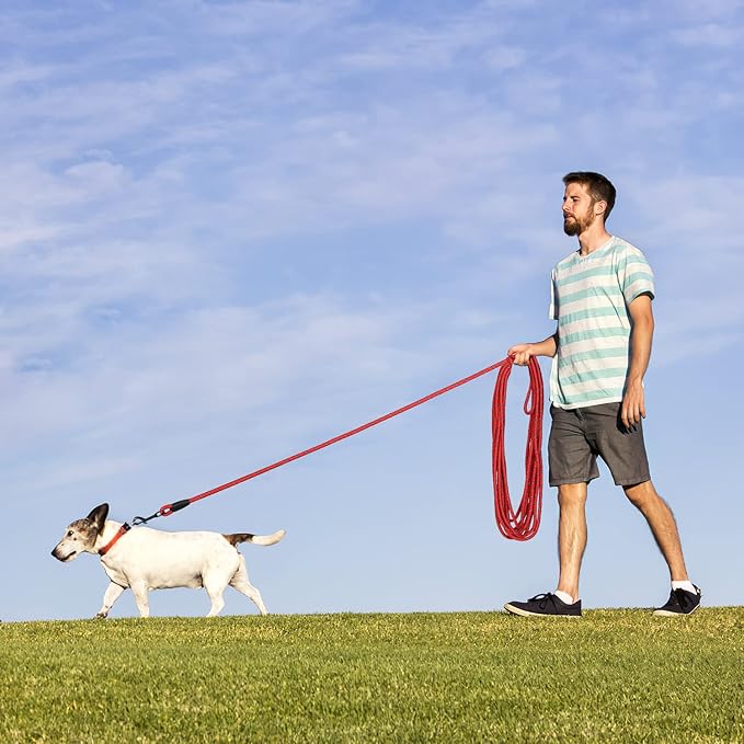 Long Dog Leash for Training 50Ft-Reflective Nylon Rope with Swivel Hook-Recall Agility Lead for Large Small Medium Dogs Outside Walking Hiking-Red