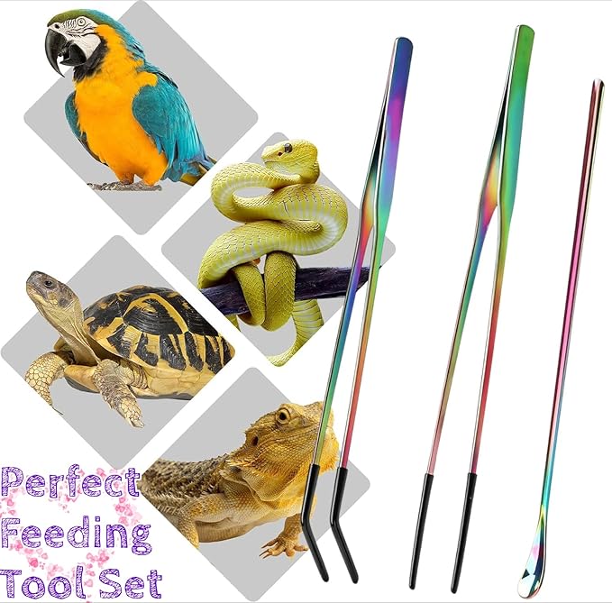 Stainless Steel Reptile Feeding Tongs & Spoon Set - 10.6" Straight & Curved Tweezers for Aquariums & Crafts - Feeder Tools with Rubber Tip for Bearded Dragons,Snake, Lizards - 3 Pack