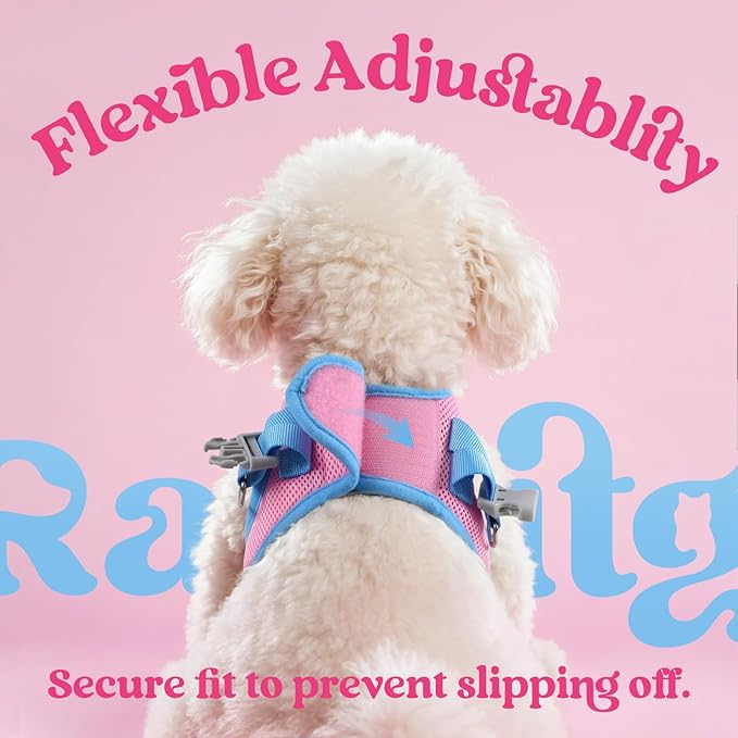 rabbitgoo Dog Harness Small Sized and Leash Set, Step-in Breathable Pet Harness, Soft Walking Reflective Puppy Vest for Small Dogs, Pink & Light Blue, L