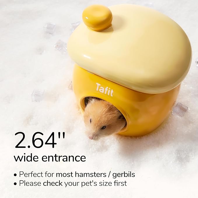 Ceramic Igloo Hamster Hideout - Orange Small Animal Habitat Decor Hut for Syrian & Dwarf Hamsters, Gerbils, Mice, Rats - Four Seasons Home House