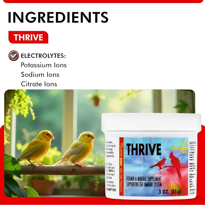 Morning Bird Thrive 3 Oz - Multi-Vitamin Bird Supplement Designed for Immune and Recovery Support - Formulated for Sick or Injured Birds - Protein Supplement and Energy Booster for All Adult Birds