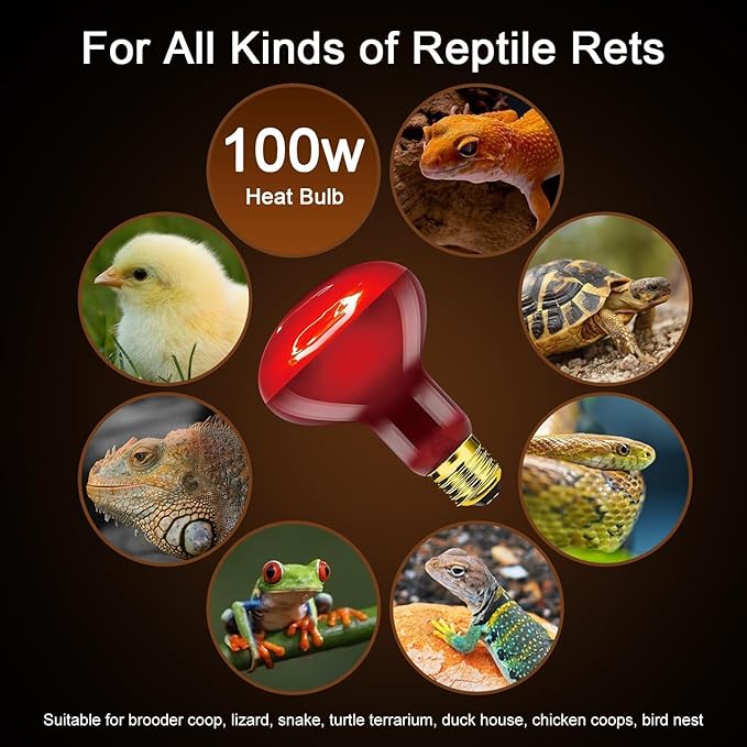 Red Reptile Heat Lamp Bulb 100W, Infrared Heat Emitter Red Heat Lamp for Reptile Amphibian, Infrared Basking Spot Light Bulb 2PCS