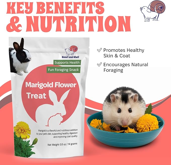 Floral Favorites by Snout and Shell – 4-in-1 Natural Treats for Small Pets – Pea Flakes, Marigold, Rose Petals & Hibiscus – Healthy Snacks for Rabbits, Guinea Pigs, Chinchillas & More