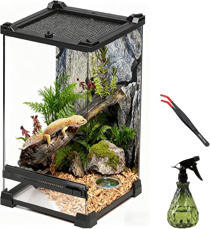 Reptile Tall Glass Terrarium Rainforest Habitat Single Door with Screen Ventilation,Small Reptile Terrarium for Spiders, Tarantulas, Snail, Mantis, Lizard (8 * 8 * 12 inch)
