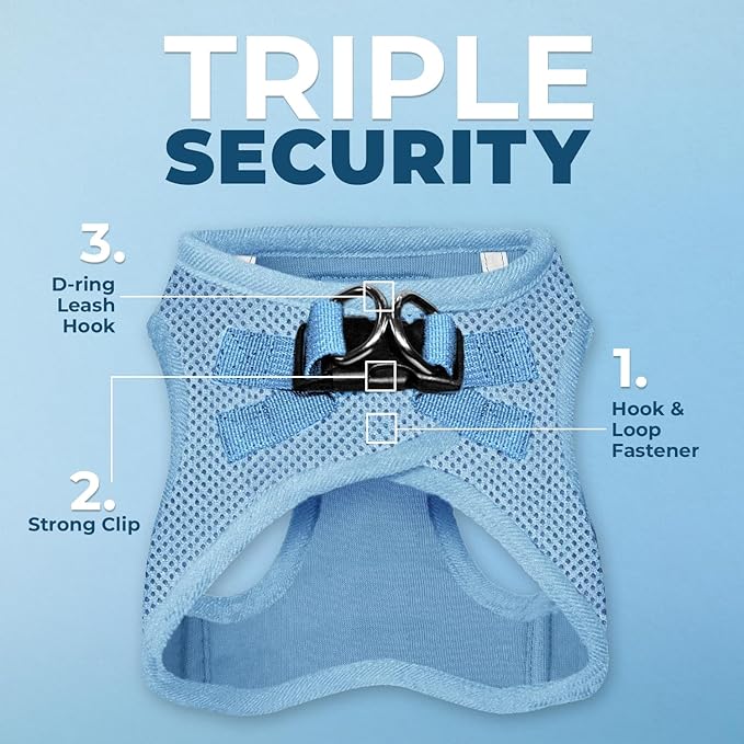 Best Pet Supplies Voyager Step-in Air All Weather Mesh Harness and Reflective Dog 5ft Leash Combo with Neoprene Handle, for Small, Medium and Large Breed Puppies - Set (Baby Blue), X-Small