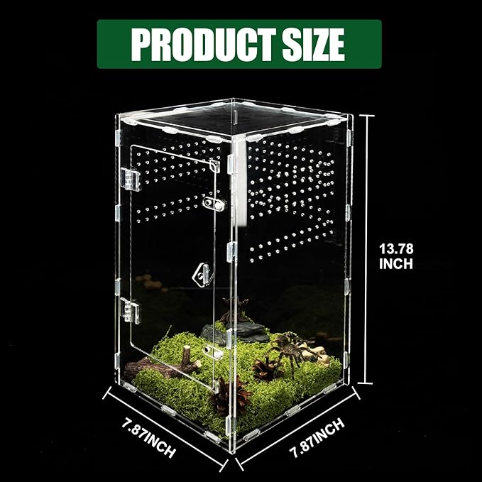 Acrylic Jumping Spider Enclosure, Transparent Reptile Terrarium Enclosure, Small Reptiles Habitat Tank Breeding Box for Tarantula Insect Snake Lizard (13.78 Large)