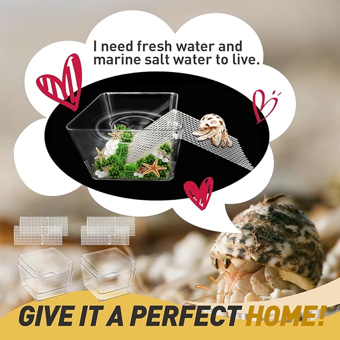 4 Packs Hermit Crab Water Tank - Ideal Hermit Crab Pool Combination - Water Tank with Cuttable Climbing Ramp