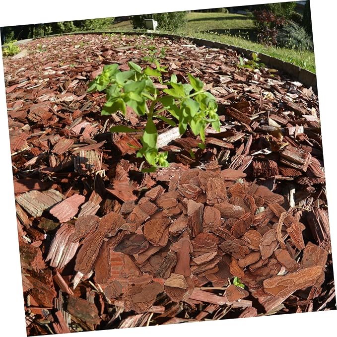 SUPVOX Natural Reptile Bark Bedding Tree Bark Chips Decor for Lizards Decorations Easy Maintenance Lizard Bedding