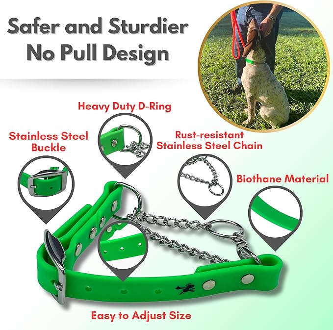 Martingale Collar for Dogs, Biothane, Stainless Steel Hardware, No Pull, Made in The USA, Professional Grade, XL, Green