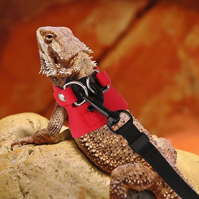 ADOGGYGO Bearded Dragon Harness Leash Set- 3 Size Pack Lizard Harness, Lizard Reptile Walking Leash Harness for Bearded Dragon Lizard Reptiles (Red)