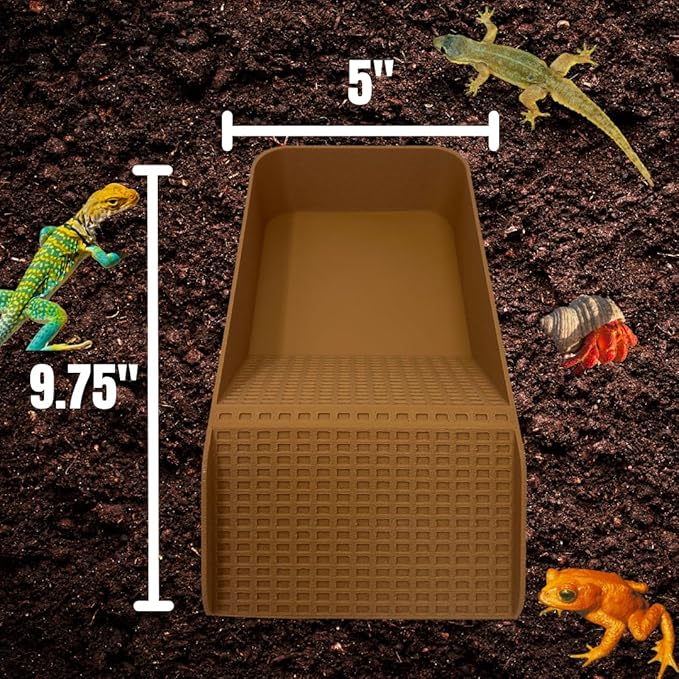 Hermit Crab, Lizard, Turtle, Amphibian XL Watering Pool | Platform Pool Accessory with Access Ramp for Pet Habitats | 9.75" x 5" | Made in USA (X-Large) (Salt + Fresh, Tan)