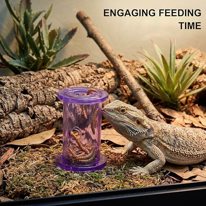2Pcs Bearded Dragon Enrichment Tools, Bearded Dragon Accessories, Transparent Interactive Feeding Accessories for Reptile, for Beards Dragons and Other Small Reptile