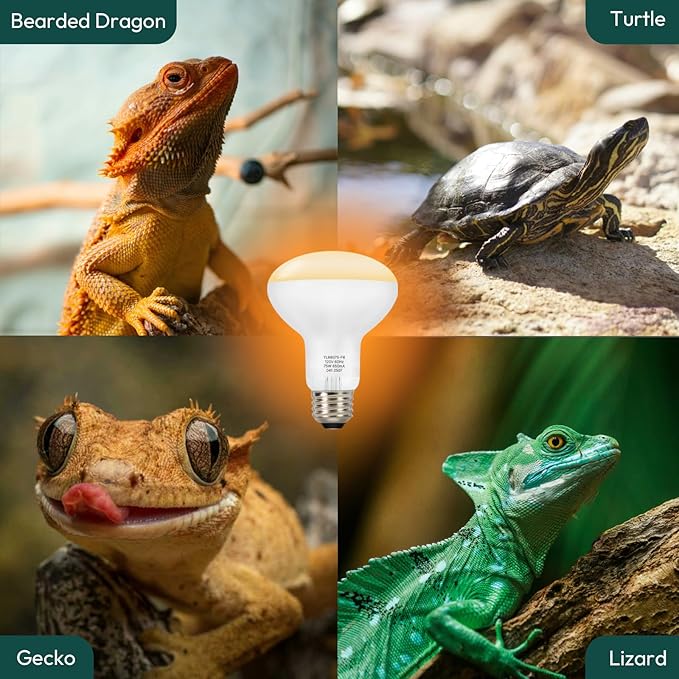 ALAMPEVER 2 Pack Reptile Heat Bulb, 75W Basking Light for Bearded Dragon, E26 Base, Durable Basking Bulb for Amphibian, Lizard, Tortoise, Gecko