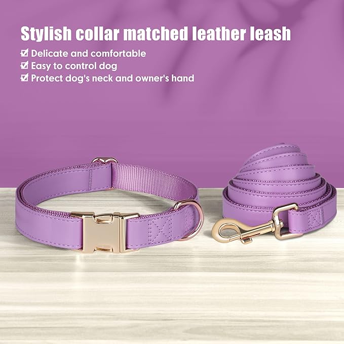 PET ARTIST Soft PU Leather Dog Collar and Leash Set, Bright & Stylish 5FT PU Leather Leash and Collar Set, Durable Pet Collars with Quick Release Metal Buckle for Small Dogs,Purple,S(9"-14")