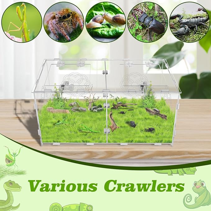 Acrylic Jumping Spider Enclosure with Double Compartments, Large Size,15.7 * 7.8 * 7.8 inches, Reptile Terrarium Aquarium Breeding Tank for Reptiles Spiders Snake Lizard