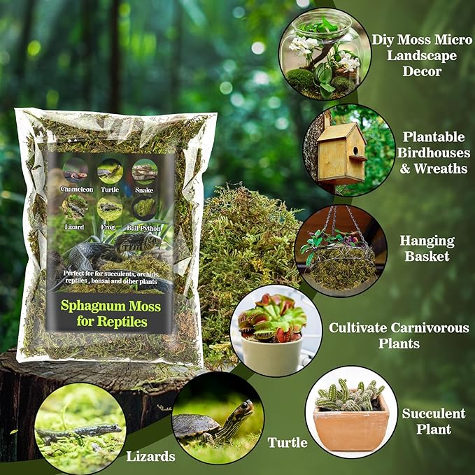 RAINFLOW Sphagnum Moss for Reptiles - 7 Oz Reptile Moss Peat Terrarium Moss Bedding Reptiles Lizard Substrate for Reptile Tank, Snake, Leopard Gecko, Ball Python, Crested Gecko, Turtle, Frog, Hamster