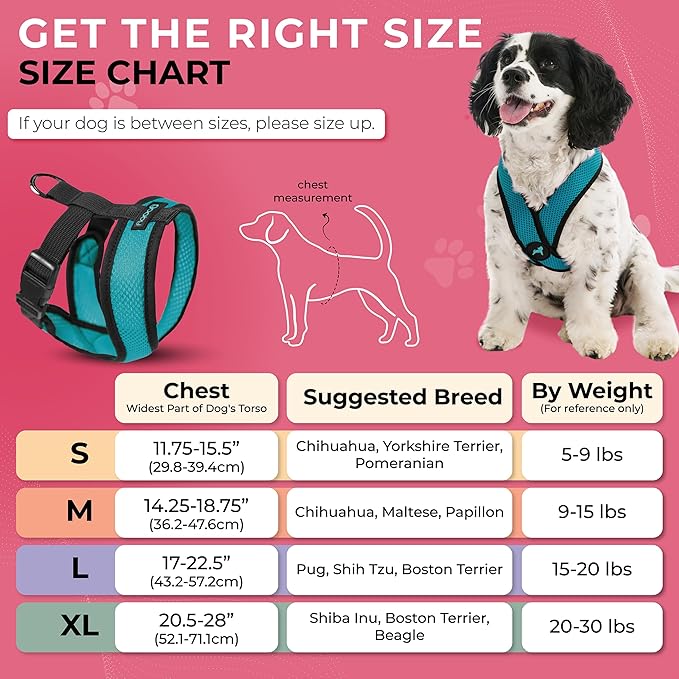 Gooby Comfort X Head in Harness - Turquoise, Small - No Pull Dog Harness with Patented Choke-Free X Frame for Small to Medium Dogs Indoor/Outdoor Use